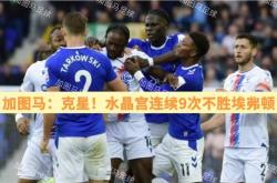 开云体育官方网站-关于水晶宫主场告捷，老鹰时隔久违赢球欢庆的信息