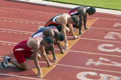 开云体育官网-奥运周期关键战焦点战，森林狼速胜国王的战略启示