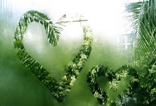 开云足球直播-罗马迎来重要胜利，排名意甲联赛前三位