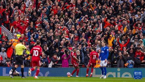 水晶宫战平利物浦，保级压力有所减轻